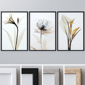 Photo Frames Set 946