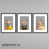 Постеры PetPoster