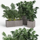 Strato planter