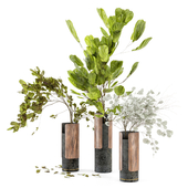 Indoor Plants in Combination of wood & concrete vase - Set 42