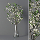 Cherry blossom 03
