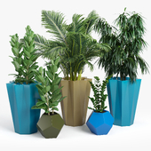 Siro planter