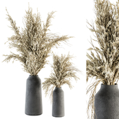 Dry plants 66 - Pampas with Black Vase