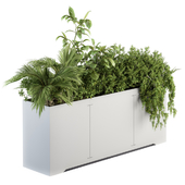 indoor Plants in White Box - Set 173