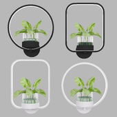 Creative Modern LED