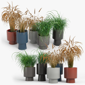 Bishop Indoor/Outdoor Pedestal Planters 2