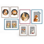 Постеры PetPoster