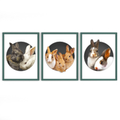 Постеры PetPoster