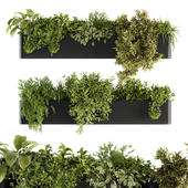 indoor Plant Set 210 - Hanging Plants