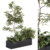 Outdoor Plant Set 222 - Plant Box with Tree