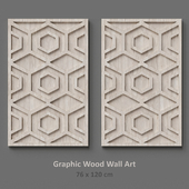 Graphic Wood Wall Art Whitewashed Hexagon