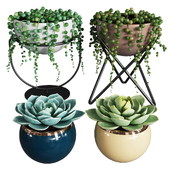 Plant set 1