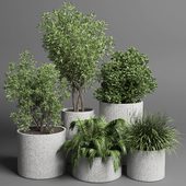 Collection outdoor plant 34 pot grass and tree and palm concrete vase