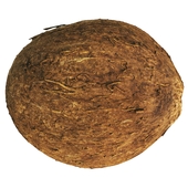 4k coconut