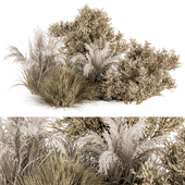 Dried Wild Plants  Bush - Bush Set 36