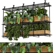 Indoor Hanging Plants in Metal Box - Set 168