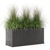 Outdoor Plants Bush  in rusty Concrete Pot - Set 187