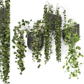 Indoor Hanging Plants in Concrete Pot - Set 198