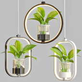 Plant lamp black