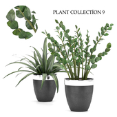 plant collection 9