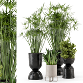 Indoor Plants in Ferm Living Bau Pot Large - Set 236