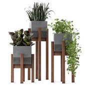 Indoor Plants in Combination of wood & concrete Pot - Set 237