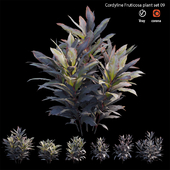 Cordyline Fruticosa plant set 09