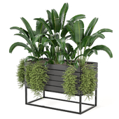 Indoor Plants in Ferm Living Bau Pot Large - Set 0070