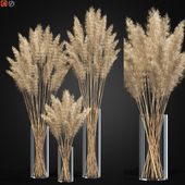 Decorative Pampas