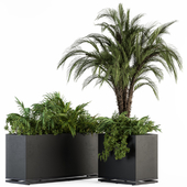 Outdoor Plant Set 269 - Tropical Plant Box