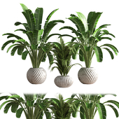 indoor plant set 16