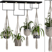 macrame plant hanger