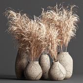 Indoor Plants 13 - Pampas Grass in Damaged Concrete Pots