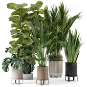 Indoor Plants in Ferm Living Bau Pot Large - Set 333