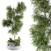 Tree and Bush - Outdoor Garden Set 326