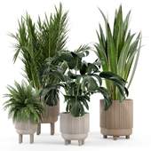 Indoor Plants in Standing Legs Small Bowl Concrete Pot - Set 341