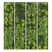 Vertical garden163