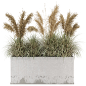 Outdoor Plants Bush  in rusty Concrete Pot - Set 385