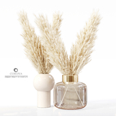 Pampas Plant Decorative