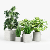 Planthae Square concrete planters with handles