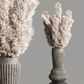 pampas dry plant Bouquet 16