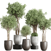 collection Indoor Outdoor plant 126 vase concrete dirty pot tree plant vray