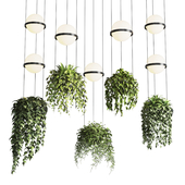 Vibia palma pendent lamp - pot light pendant - plant light hanging 04 Corona