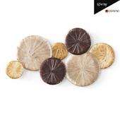 Multi-Color Sand Dollar Metal Wall Art Decor