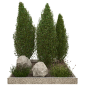 outdoor plants 002
