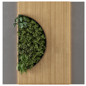 Indoor Wall  Vertical Garden in Wooden Base - Set 526