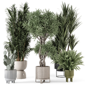 Indoor Plants in Ferm Living Bau Pot Large - Set 597