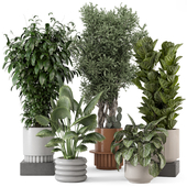 Indoor Plants in Ferm Living Bau Pot Large - Set 611