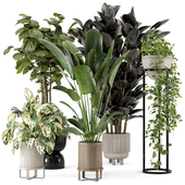 Indoor Plants in Ferm Living Bau Pot Large - Set 629