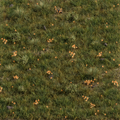 Green Grass with Yellow Flower - Grass Set 10